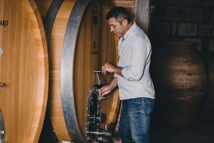 Mount Vesuvius Wine Tasting & Traditional Lunch