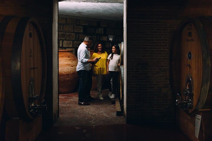 Mount Vesuvius Wine Tasting & Traditional Lunch