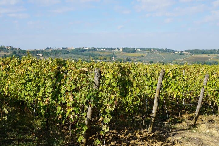 Super Chianti 2 wineries & meat feast @ Dario Cecchini—max 8 pp