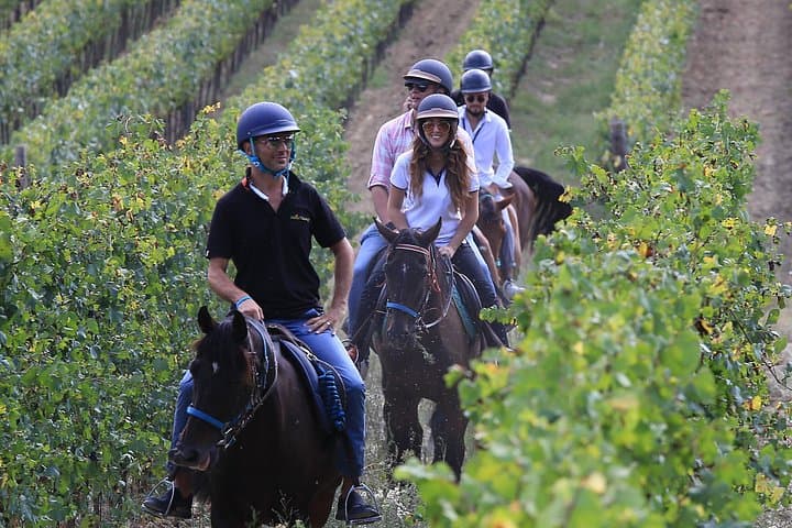 Horseback riding through the vineyards