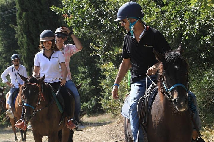 Very gentle horses and well selected, no experience required