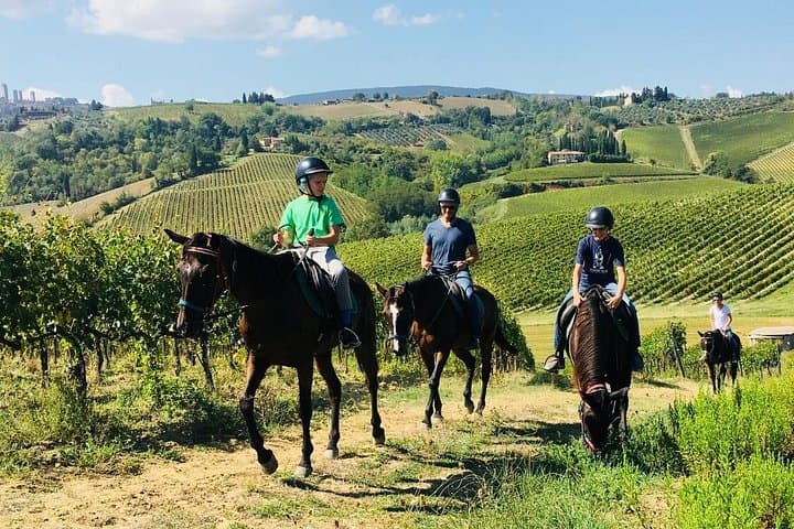 Horseback riding through panoramic hills, vineyards and olive trees