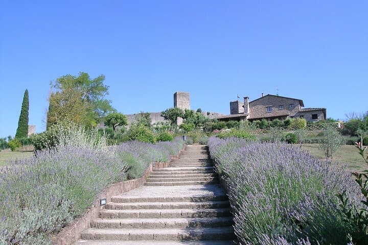 Full-day Small-group Tour to Siena and Monteriggioni from Rome