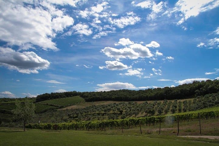 Triumph of Flavors, Winery Tour, Organic Wines in Panzano in Chianti