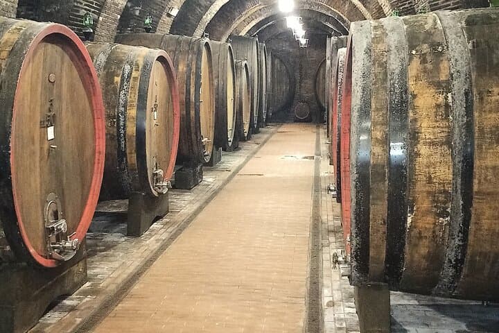 Montepulciano Historical Cellar
(original photo of our tours)