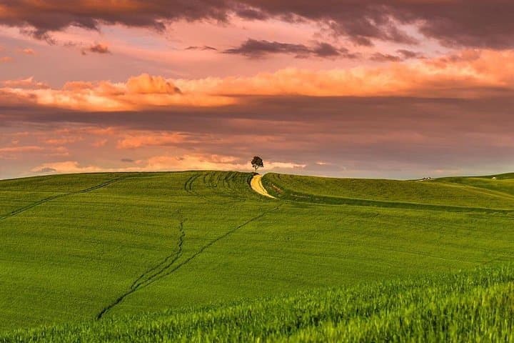Val d'Orcia: 1-Hour Private Photography Experience
