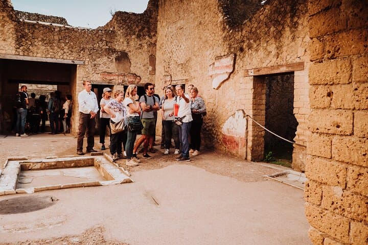 Herculaneum Small Group Tour and Ticket With an Archaeologist