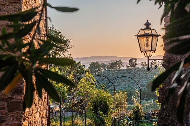 Umbria Wine and Olive Oil Tour with light lunch