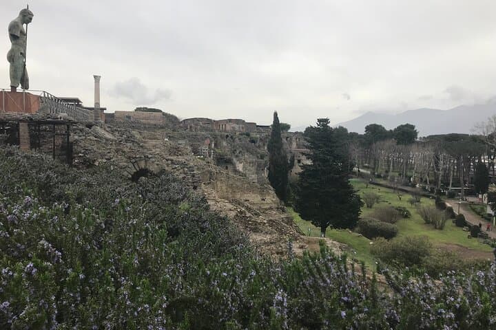 Pompeii Wine Tasting Tour from Positano