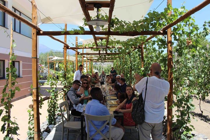 Pompeii Wine Tasting Tour from Positano