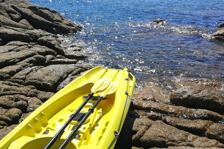 Cove of Ischia