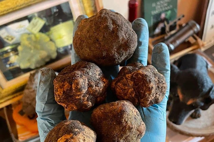 White Truffle - January 2022
