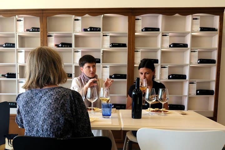 WINE TOUR with sommelier in a winery near Cagliari