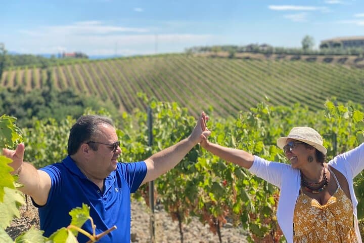 Chianti Wineries Tour, Medieval Villages, Lunch, Wine Tastings