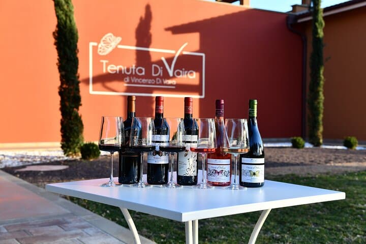 Exclusive Private Bolgheri Experience: Land of the Super Tuscan