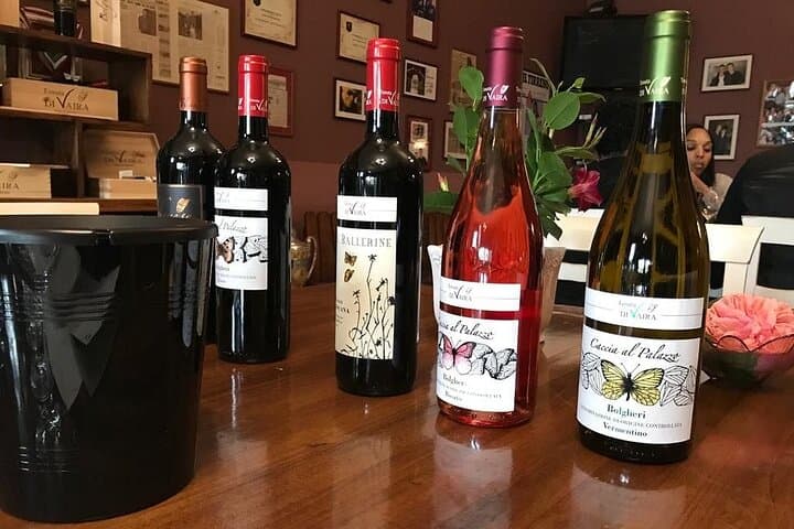 Exclusive Private Bolgheri Experience: Land of the Super Tuscan
