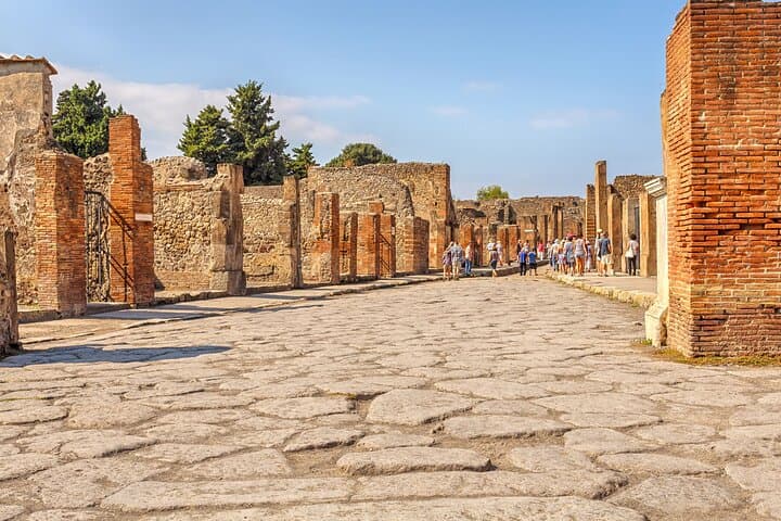 Guided Tour of Pompeii with Optional Tasting Experience onsite