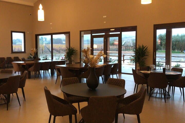 Exclusive Private Bolgheri Experience: Land of the Super Tuscan