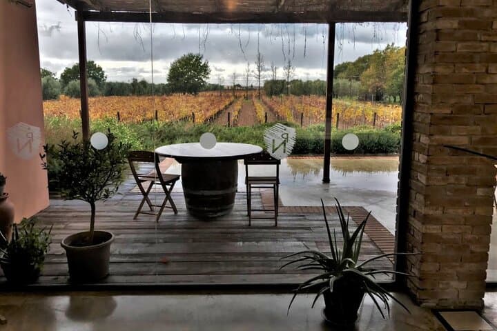 Exclusive Private Bolgheri Experience: Land of the Super Tuscan