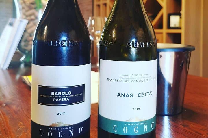 Barolo&Barbaresco Wine Experience with a Local Winemaker / Torino