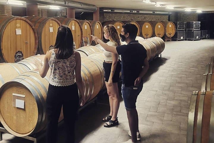 Barolo&Barbaresco Wine Experience with a Local Winemaker / Torino