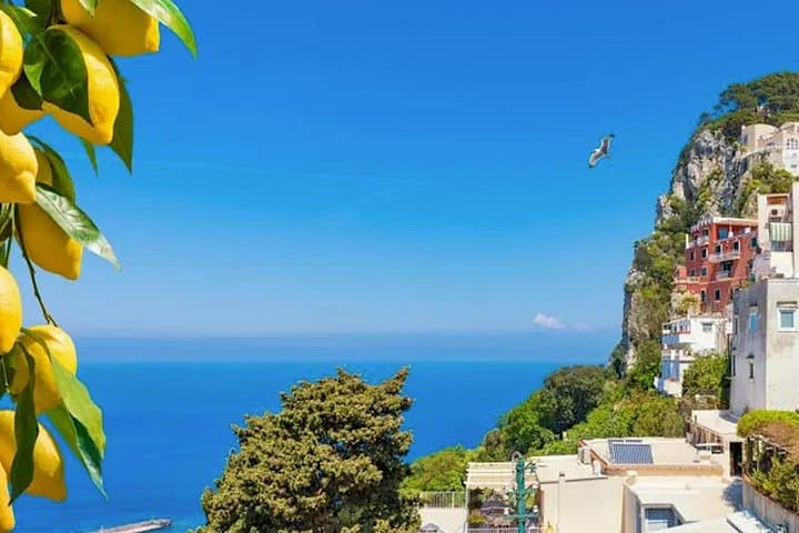 From SORRENTO: Stunning Capri! Full Day in a Private Boat