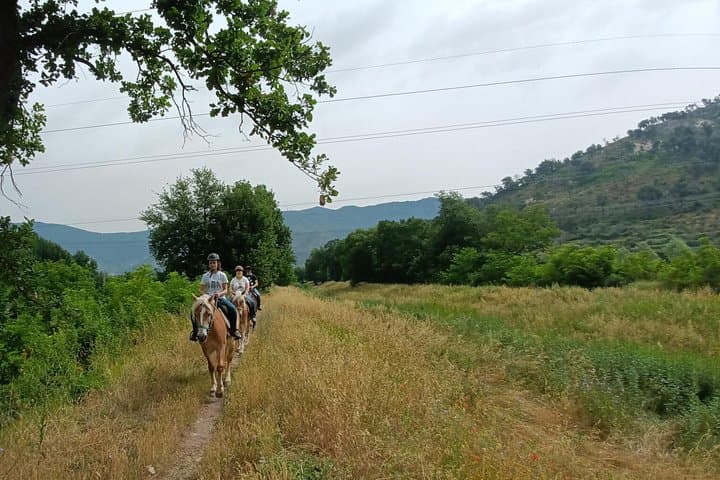 2 hour horseback ride for experts in Valgraziosa (Pisa)