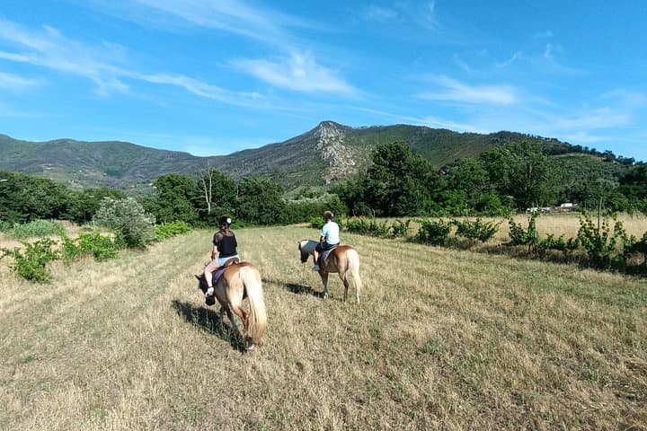 2 hour horseback ride for experts in Valgraziosa (Pisa)