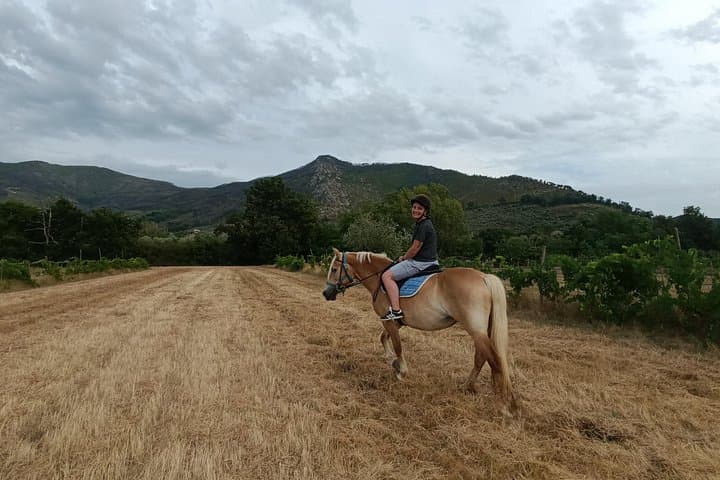 2 hour horseback ride for experts in Valgraziosa (Pisa)