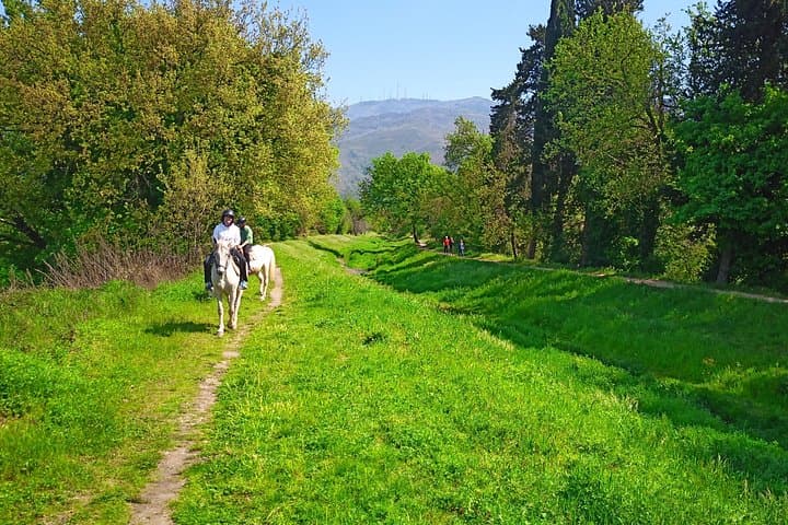2 hour horseback ride for experts in Valgraziosa (Pisa)