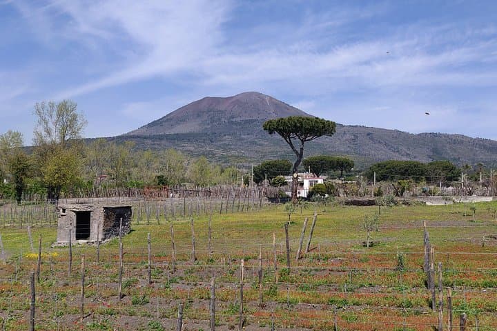 Private Tour Pompeii, Vesuvius and Herculaneum