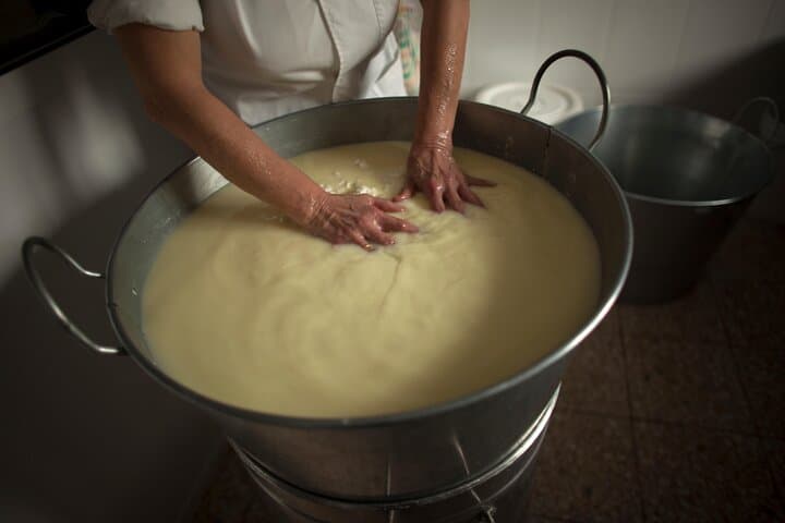 how the milk transform in cheese