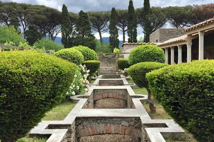 Private Pompeii Tour From Sorrento with Pick Up and Drop Off