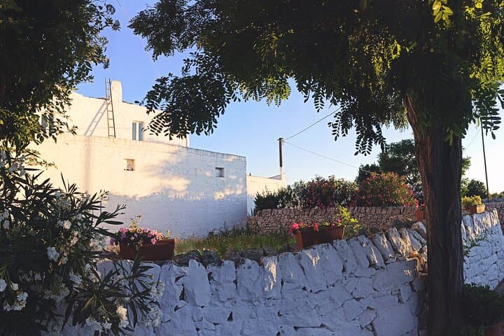 the historic structures