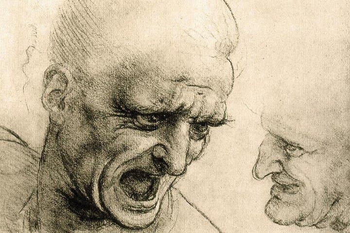 Leonardo drawings (sepia)