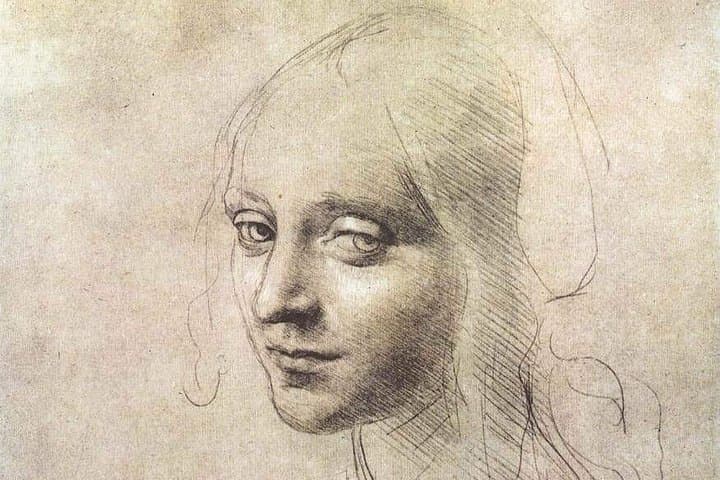 Leonardo drawings