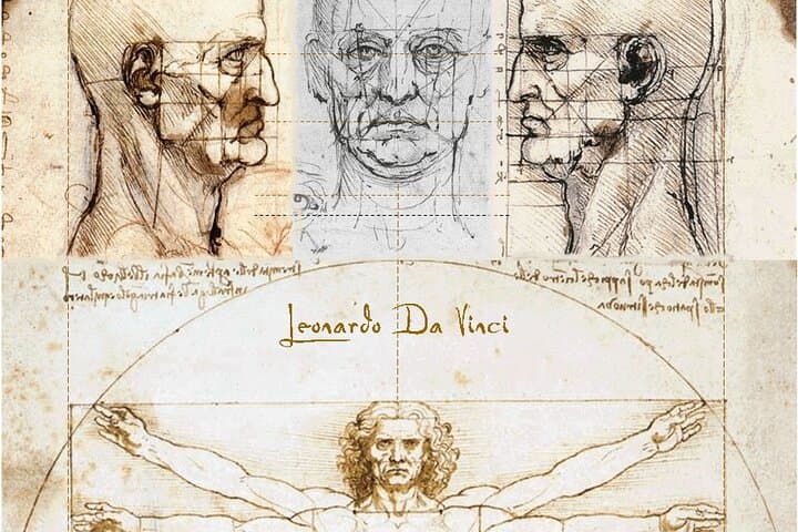 Leonardo drawings (sanguine and sepia)