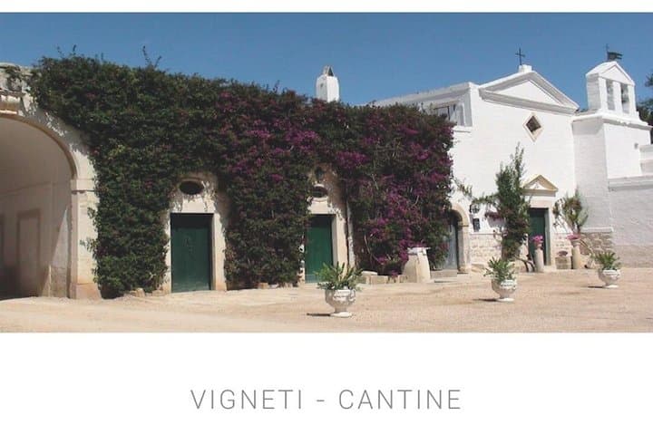 Puglia vineyard!