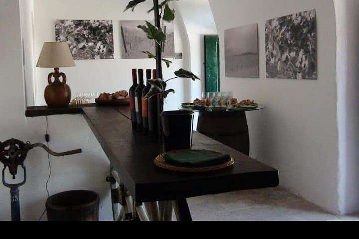 Vineyard Wine Tasting & soft lunch & transfer included