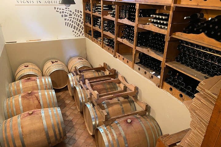 Family Winery Tour and Tasting in Grado