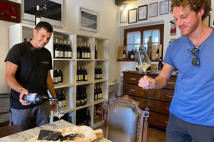 Family Winery Tour and Tasting in Grado