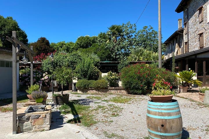 Family Winery Tour and Tasting in Grado