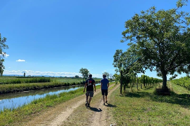 Family Winery Tour and Tasting in Grado