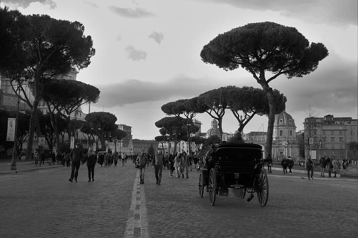 PRIVATE: Colosseum, Roman Forum and Palatine Hill