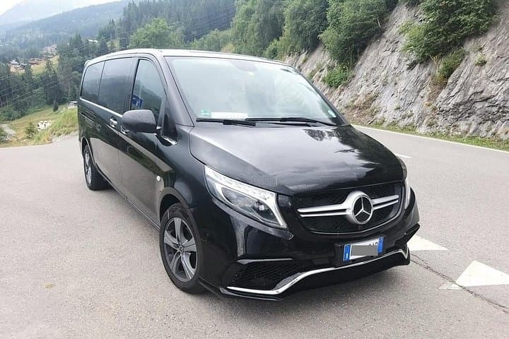 Venice Airport (VCE) to Trieste city or Cruise Port - Arrival Private Transfer