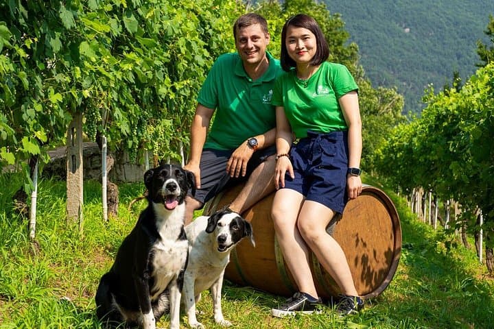 Savor Ossola Wines & Local Treats in a Scenic Vineyard