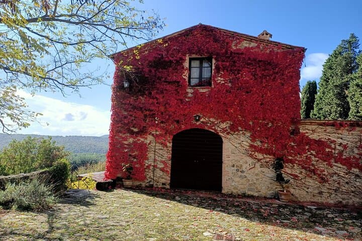 Small group Chianti Classico & Brunello wine region from Siena