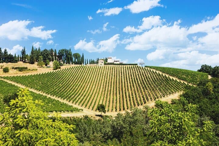 Private 12h Tour to Siena San Gimignano and Chianti from Florence