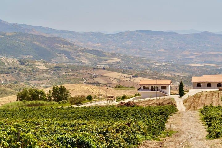 Di Giovanna Winery Tour & 5 Wine Tasting