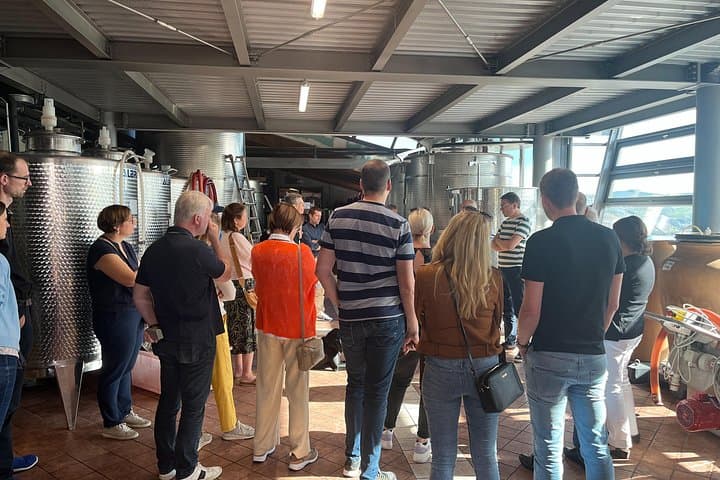 Private Barolo Wine Tour with Winemaker